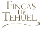 Fincas del Tehuel